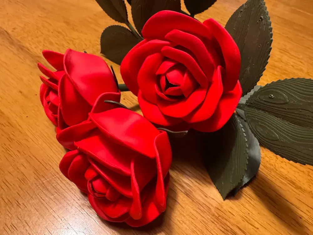 2025-01-10_cb73c5de2f9508.webp
