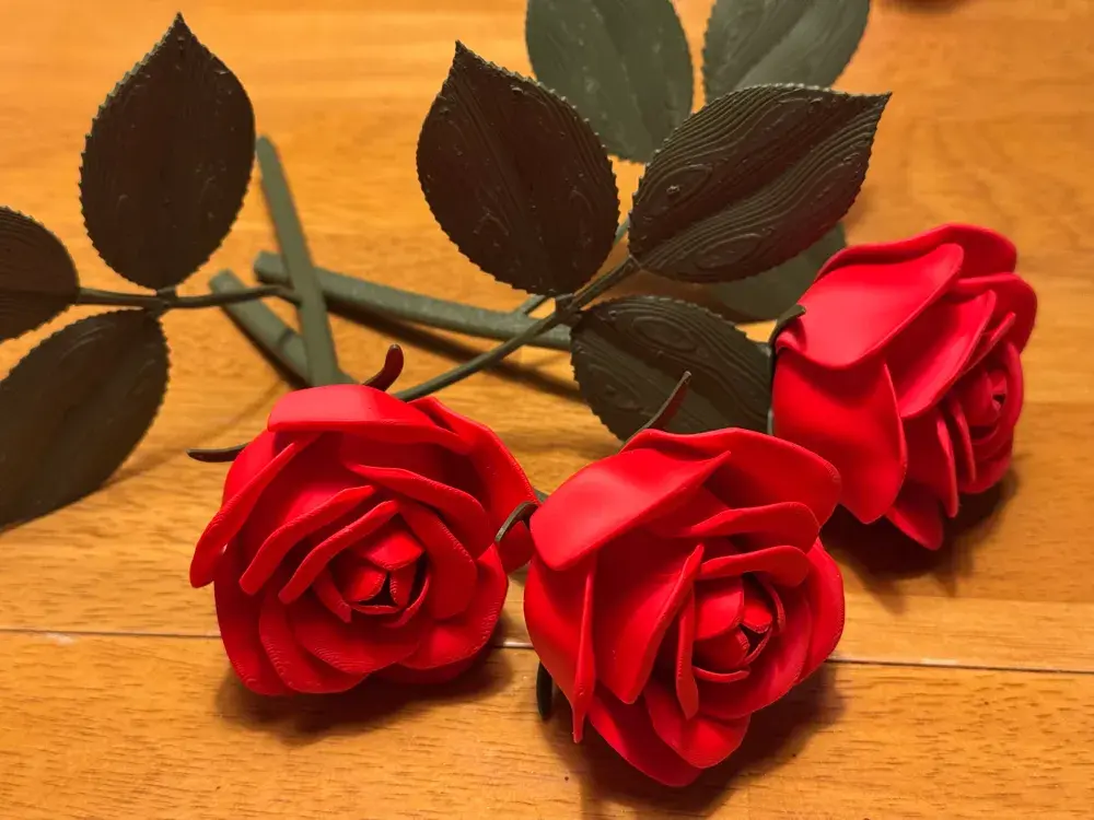 2025-01-09_e7d4deff97f23.webp
