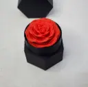 Eternal Rose - Love