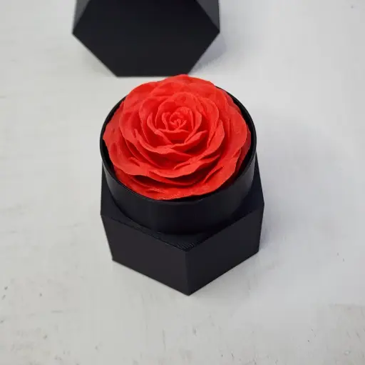 Eternal Rose - Love