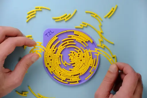 Round Labyrinth Jigsaw Puzzle